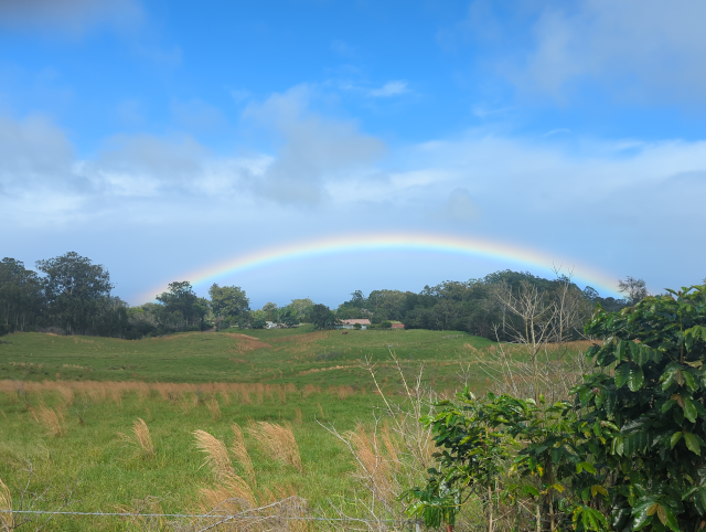 photograph of a rainbow