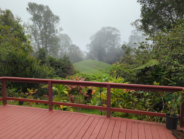 photograph of the view from my back deck, with distant trees obscured by fog