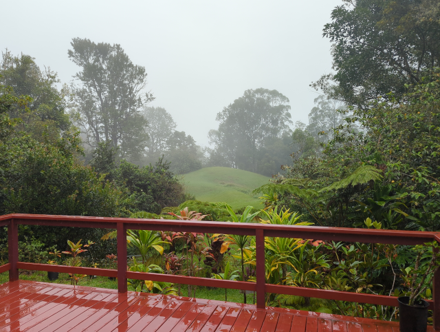 photograph of the view from my back deck, with mist and fog beginning to obscure the foreground