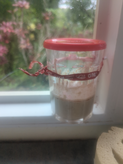 photo showing a working glass with nascent sourdough starter fermenting in it; it's in a windowsill, with a twist tie on a cup hook holding it in place