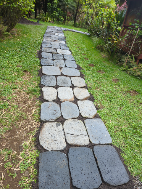 photo of the path from ground level