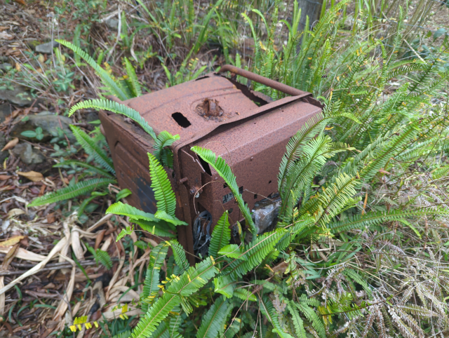 photo of a very rusty gasoline electric generator decomposing into the brush