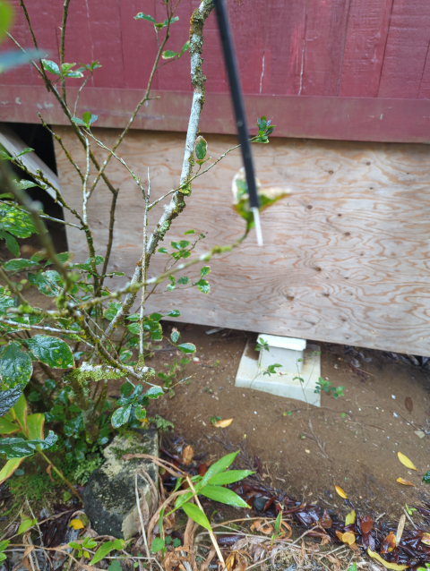 photo of a fiber optic cable that has been severed by traction