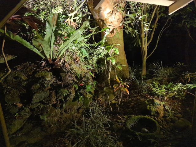 photograph of the garden in front of the shower at night