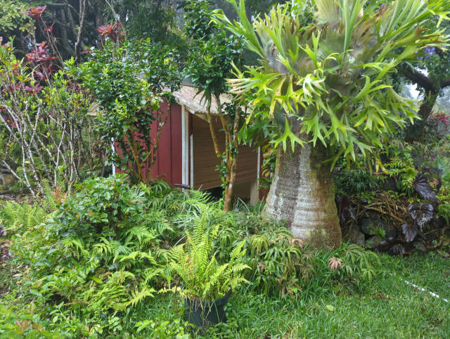 photo showing the outdoor shower from the outside with the shades down