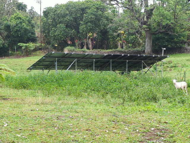 photo showing the back of an array of ground-mounted solar panels in a green pasture