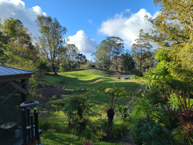 photo looking north from the deck, showing blue sky and fluffy clouds, bright green pasture, trees lit by the setting sun, with bright light areas and deep shadows over the green grass