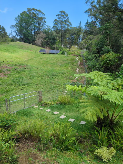 photo looking across the pasture showing the steppingstone path to the mauka infrastructuree in the distance