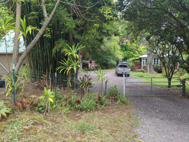 photo of the main gate of the compound, as seen from the street