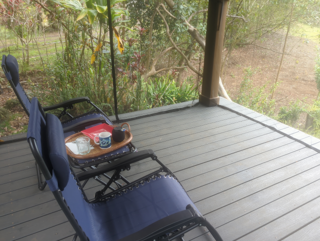 photo of a tray that once held a Sunday breakfast with a square red plate and a honu coffee cup on a side table next to a reclining chair in the new pavilion
