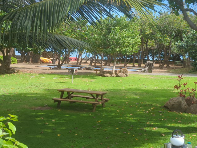 photo of a green meadow with a BBQ grill and picnic table in the foreground and a beach and the ocean in the middle distance