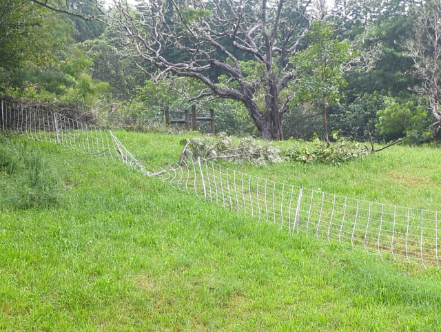 photo of a section of electric fence smashed by a fallen tree limb
