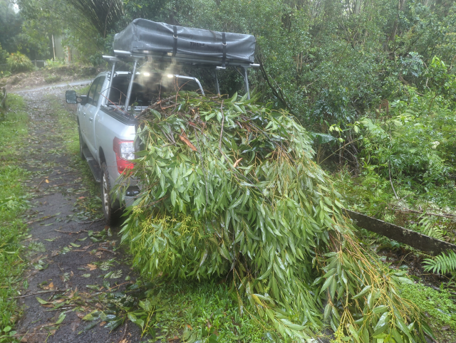 photo of Timmy the Titan filled with cut tree branches that I have hauled to the gulch for disposal