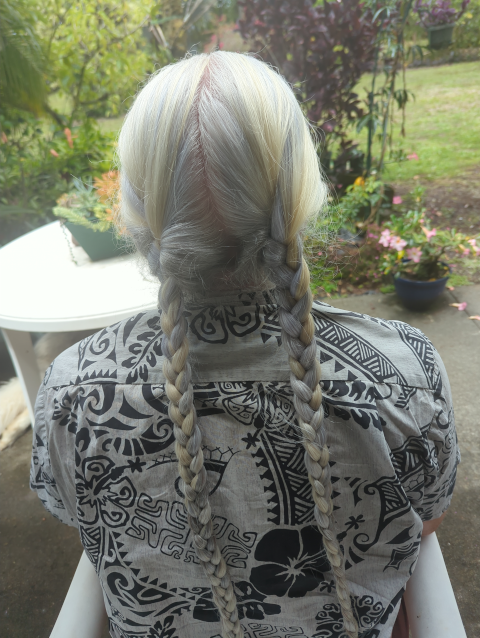 photo of the back of twoprops' head, showing hair in two long braids with yellow, purple, and silver streaks