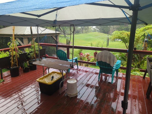 photo of the deck under the canopy, showing Luna's grooming table and brush