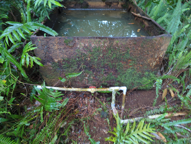 photo of repaired PVC pipes and a rusted metal watering trough